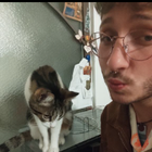 Profilbild für Alex A