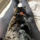 Avatar for Katherine C