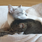 Profilbild für Nadja N