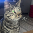 Avatar for Mariyam B