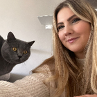 Profilbild für Lorena K
