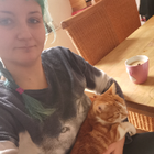 Profilbild für Vivi K