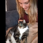 Profilbild für Larissa W