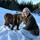 Profilbild für Anna-Katharina D