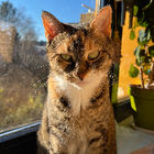 Profilbild für Georgina R