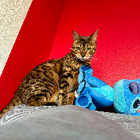 Profilbild für Samantha S