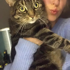 Profilbild für Linda H