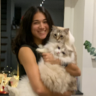 Profilbild für Imaine G