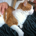 Avatar pour Myriam H