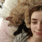 Profilbild für Valeria V