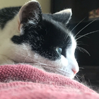 Avatar for Katie-Ann F