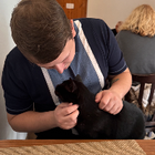 Profilbild für Viktor P