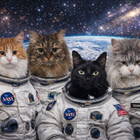 Profilbild für Tina K