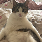 Profilbild für Gina S