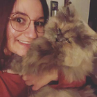 Profilbild für Niki R