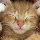 Profilbild für Charlotte R