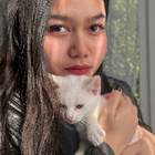 Profilbild für Niza T