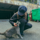 Profilbild für Mitra A