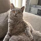 Profilbild für Josephine K