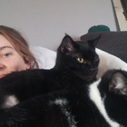 Profilbild für Anna Lena O