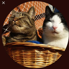 Profilbild für Conny S