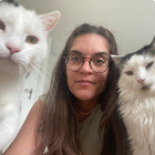 Profilbild für Sara S