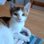 Profilbild für Verena W