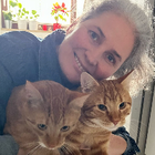 Profilbild für Lavinia L