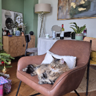 Avatar for Georgija D