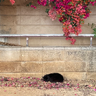 Profilbild für Gita J