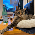 Avatar for Laurence L