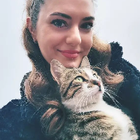 Profilbild für Sam J
