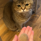 Profilbild für sisi Y