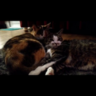 Profielfoto voor Caroline K