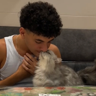 Avatar pour Rayane A