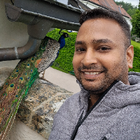 Profilbild für Sidhartha B