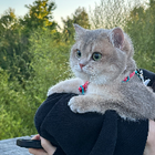 Profilbild für Clara L
