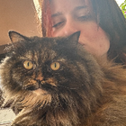 Profilbild für Antonia Z