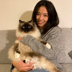 Profilbild für Jingjia Z