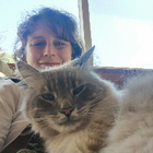 Profielfoto voor Sarah M