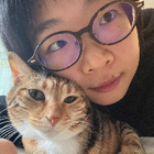 Profielfoto voor Xiaomo L