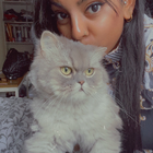 Profilbild für Nischambavi P