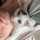 Profilbild für Katerina V