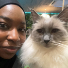 Avatar for Surayyah H