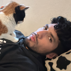 Profilbild für Fabian V