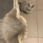 Profilbild für Ruby P