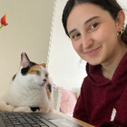 Profielfoto voor Sevgi O