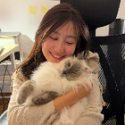 Profilbild für Yanzhe L