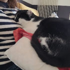 Avatar pour Lucile M