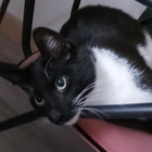 Profielfoto voor Mariia S